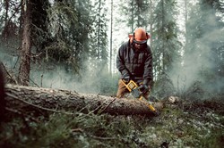 DeWalt DCM575N аккумуляторная цепная пила, 54 В, 40 см, 15 м/с, без АКБ и ЗУ - фото 226088