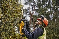 DeWalt DCMHT563P1 аккумуляторный кусторез, 18 В, 56 см, 1400 ход/мин, с АКБ 5 Ач и ЗУ - фото 226118
