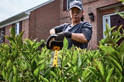 DeWalt DCMHT573X1 Кусторез акк. в кор. (18V, 1*9.0Ah, шина 650 мм, толщ. реза 31 мм, 3.9кг) - фото 226985