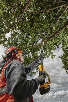 DeWalt DCMPS567N SOLO Высоторез аккум. в кор. (18V, шина: 20 см, 33 зв, 1.1 мм, BL-motor) - фото 227973