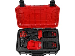 Аккум. ударная дрель-шуруповерт WORTEX BD 2030-1 Li в чем. XLT SET БЕСЩЕТ., 18 В, 55 Н*м, 2х2 А*ч - фото 234114