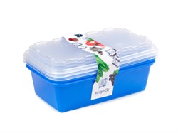 Набор контейнеров для заморозки Zip, джинс, BEROSSI (Изделие из пластмассы. Размер 200 х 120 х 95 мм) (ИК17436000)