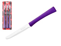 Набор ножей столовых, 3шт., серия INOVA D+, фиолетовые, DI SOLLE (Длина: 217 мм, длина лезвия: 101 мм, толщина: 0,8 мм. Прочная пластиковая ручка.) (38.0106.18.09.000)