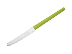 Нож столовый, серия MILLENIUN, зеленый, DI SOLLE (Длина: 213 мм, длина лезвия: 101 мм, толщина: 0,8 мм. Прочная пластиковая ручка.) (14.0106.00.07.000)