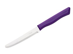 Нож столовый, серия PARATY, фиолетовый, DI SOLLE (Длина: 200 мм, длина лезвия: 103 мм, толщина: 0,8 мм. Прочная пластиковая ручка.) (01.0106.00.09.000)