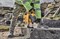 DeWalt D25304DH Система пылеудаления, для перфораторов SDS-Plus, с HEPA-фильтром