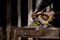 DeWalt DCS512N SOLO Дисковая пила аккум. в кор. (12V, 140х20 мм, пропил: 47 мм, BL-motor) - фото 226316