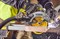 DeWalt DCS573NT SOLO Дисковая пила аккум. в чем. TSTAK VI (18V, 190*30мм, пропил: 67мм, BL-motor) - фото 226366