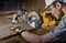 DeWalt DWS773 Пила торцовочная (1300 Вт, 216х30 мм, 4600 об/мин, пропил: глуб. 70 мм/шир. 250 мм) - фото 226947