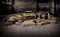 DeWalt DCK551P3T Набор: DCS331+DCS391+DCF887+DCD796+DCL050 в TSTAK VI и DWST1-70704 (18V, 3*5.0Ah) - фото 226978