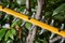 DeWalt DCMHT573X1 Кусторез акк. в кор. (18V, 1*9.0Ah, шина 650 мм, толщ. реза 31 мм, 3.9кг) - фото 226983