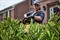 DeWalt DCMHT573X1 Кусторез акк. в кор. (18V, 1*9.0Ah, шина 650 мм, толщ. реза 31 мм, 3.9кг) - фото 226985