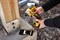DeWalt DCF888B SOLO Гайковерт аккум. в кор. (20V, 206 Нм, 1/4", система Tool Connect) - фото 227036