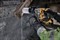 DeWalt DCH172B SOLO Перфоратор аккум. в кор. (20V , 1.4 Дж, SDS-Plus, BL-motor) - фото 227078