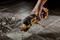DeWalt DCS353B SOLO Многофункциональный инструмент аккум. в кор. (12V, 0–18000 кол/мин, BL-motor) - фото 227981