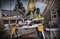 DeWalt DCS365N SOLO Торцовочная пила аккум. (18V, 184х16 мм,глуб/шир проп:50/250 мм, 3750 об/мин) - фото 227994