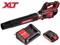 Аккум. воздуходувка WORTEX BB 2018 D ALL1 XLT SET 18 В, 2 Ач акб, макс.объём 570 м куб/ч - фото 231824